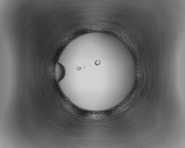 X0000116510466200912090951