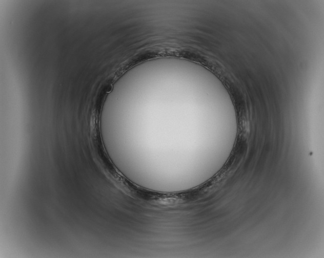 X0000116510468200912090951