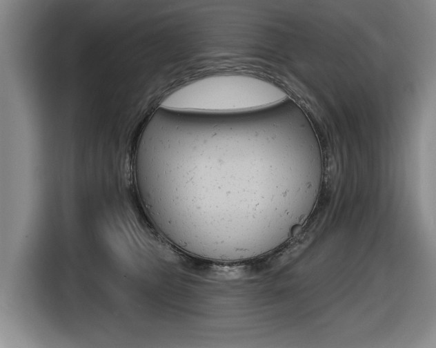 X0000116510469200912090951