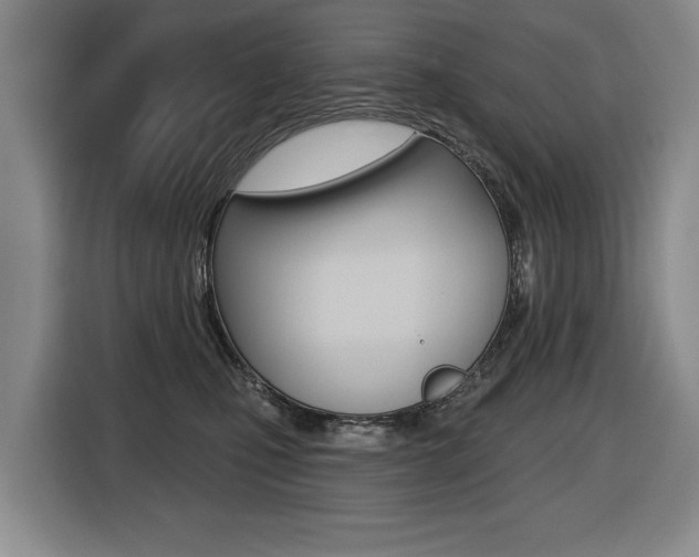 X0000116510471200912090951