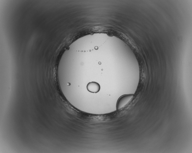 X0000116510473200912090951