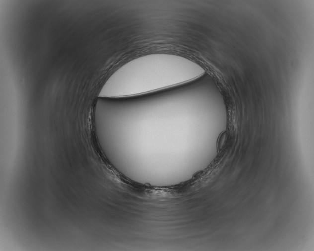 X0000116510475200912090951