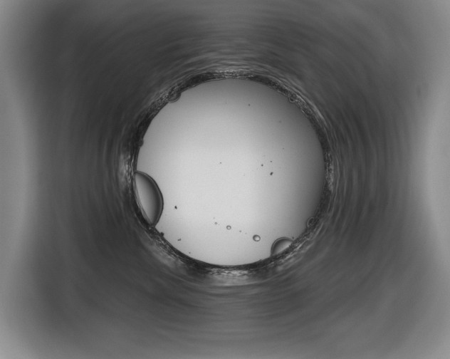 X0000116510476200912090951