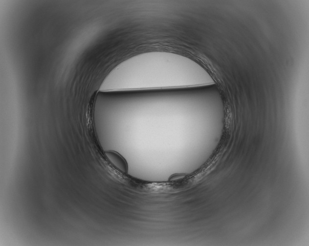 X0000116510477200912090951