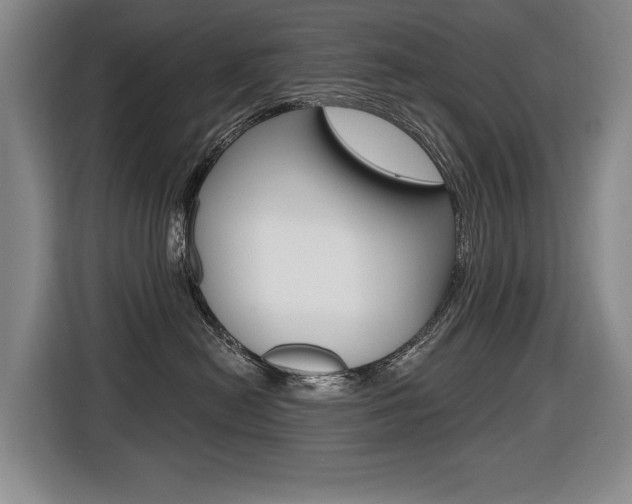 X0000116510478200912090951
