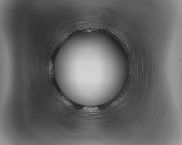 X0000116510480200912090951