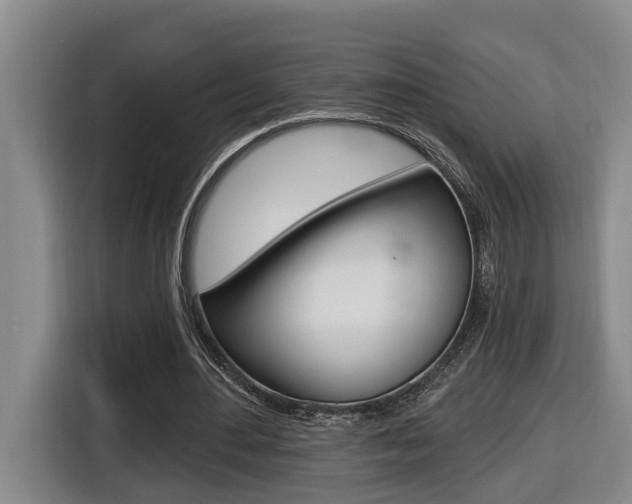 X0000116510484200912090950