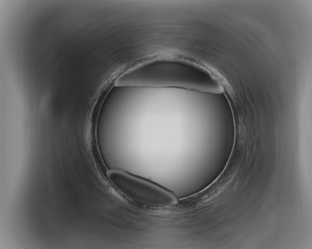 X0000116510485200912090950