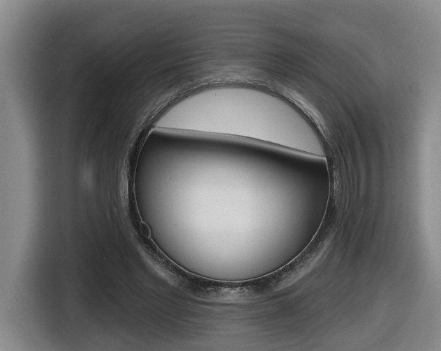 X0000116510493200912090950