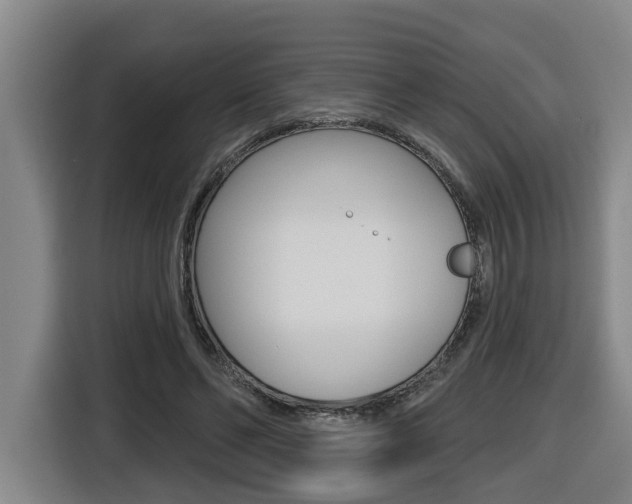 X0000116510494200912090950