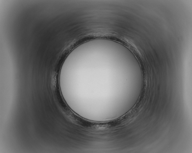 X0000116510495200912090950
