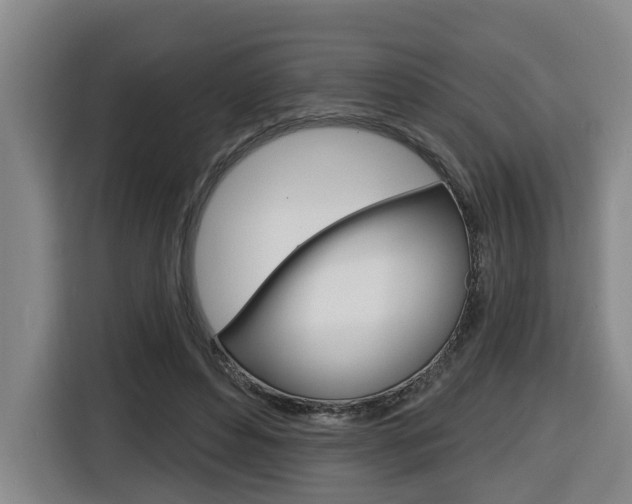 X0000116510496200912090950