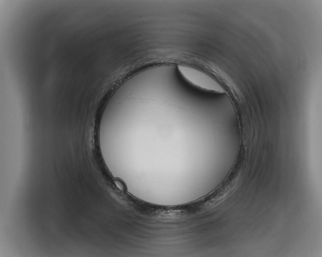 X0000116510497200912090950