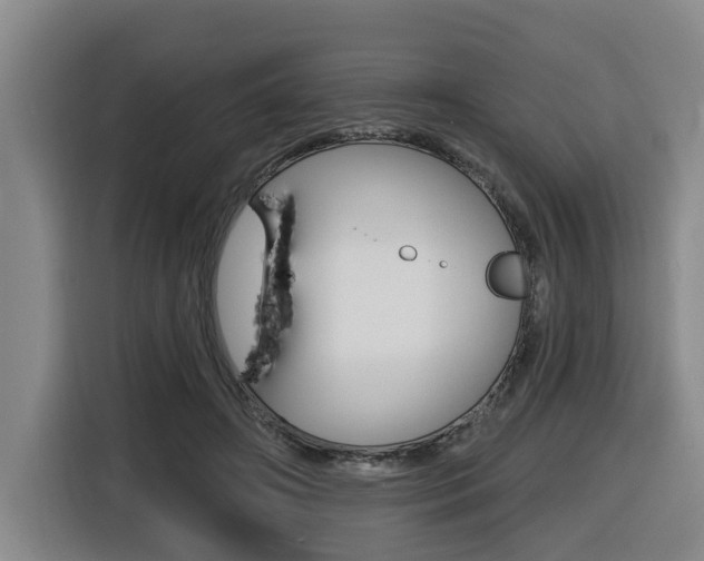 X0000116510498200912090950
