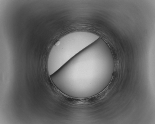 X0000116510504200912090950