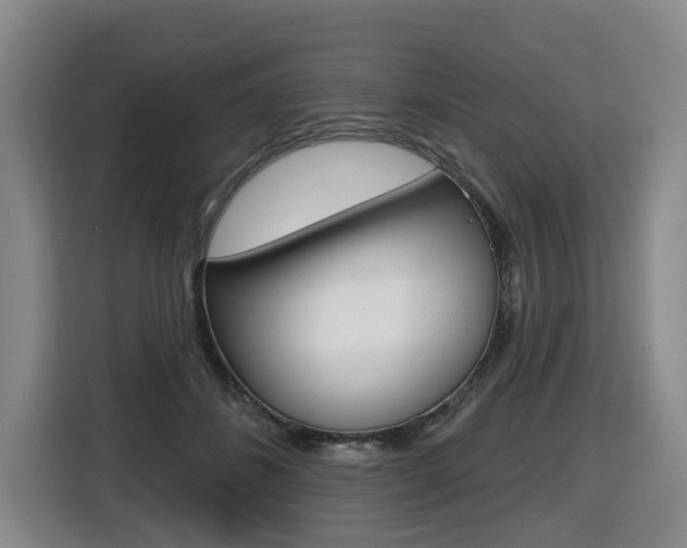 X0000116510508200912090950