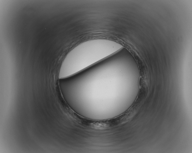 X0000116510512200912090950