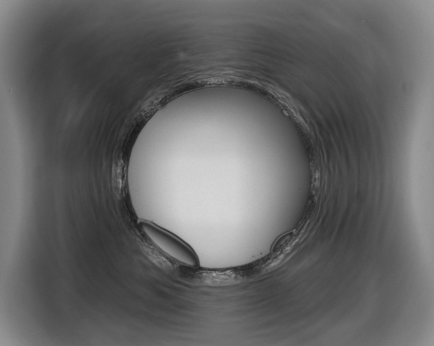 X0000116510525200912090950