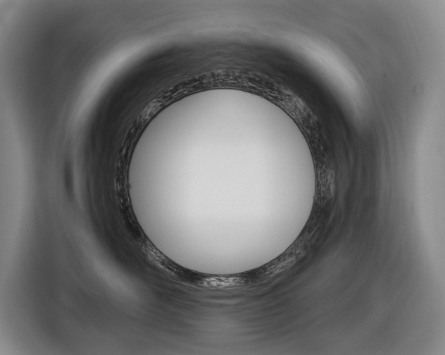 X0000116510526200912090950