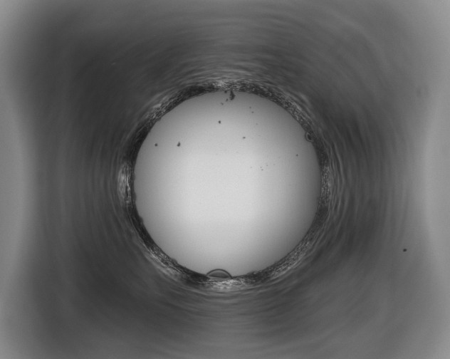 X0000116510527200912090950