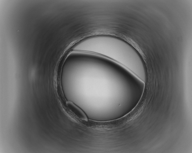 X0000116510530200912090949