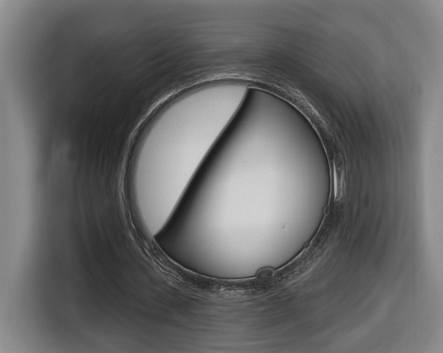 X0000116510531200912090949