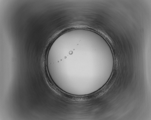 X0000116510533200912090949