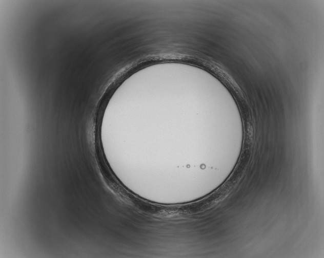 X0000116510534200912090949