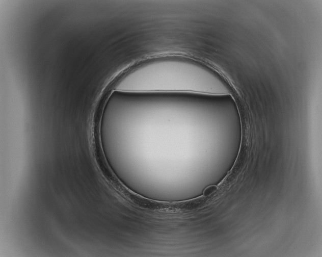 X0000116510535200912090949