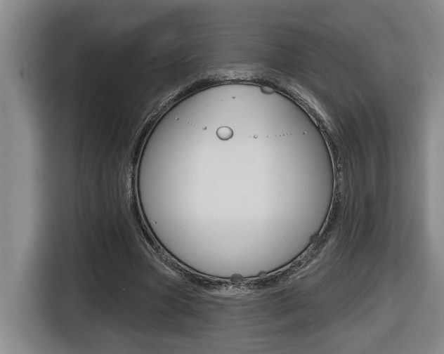 X0000116510537200912090949