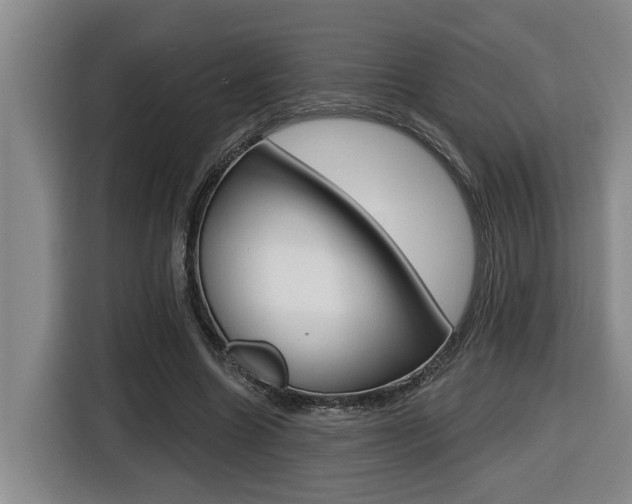 X0000116510538200912090949
