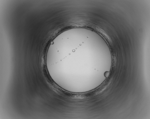 X0000116510541200912090949