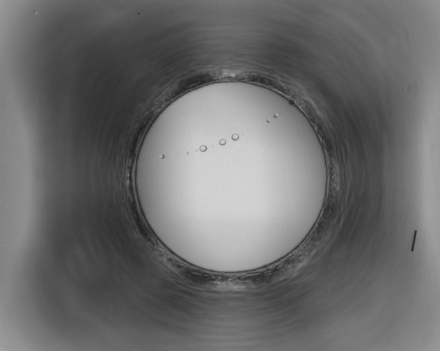 X0000116510545200912090949