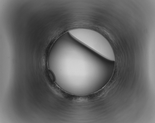 X0000116510546200912090949
