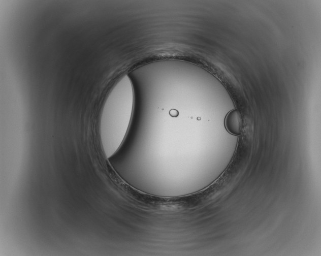 X0000116510547200912090949