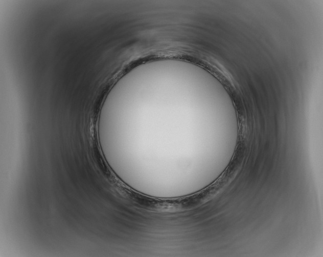 X0000116510549200912090949
