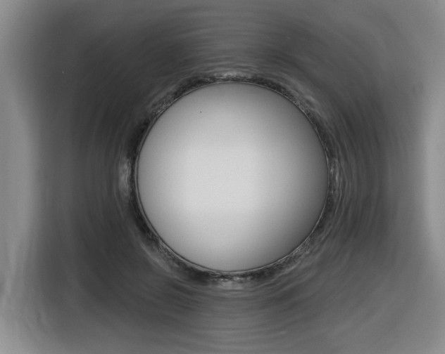 X0000116510550200912090949