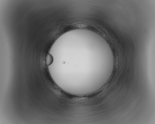 X0000116510553200912090949