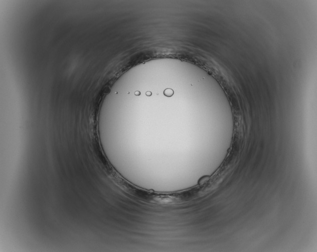 X0000116510557200912090949
