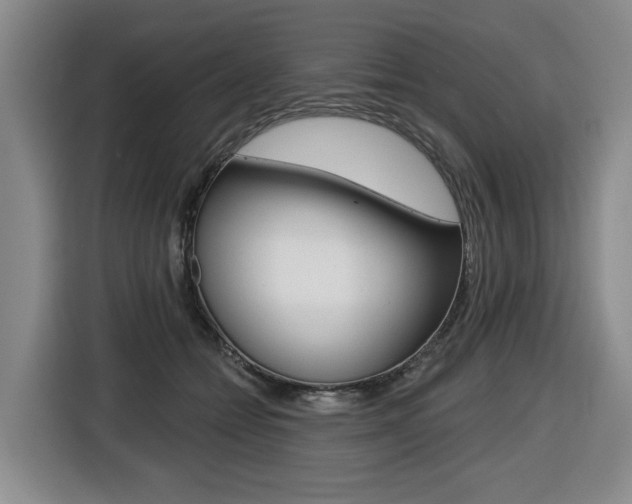 X0000116510558200912090949