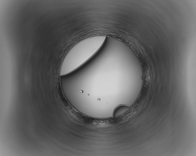 X0000116510559200912090949