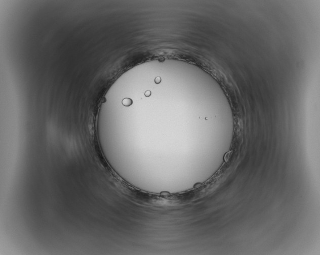 X0000116510561200912090949