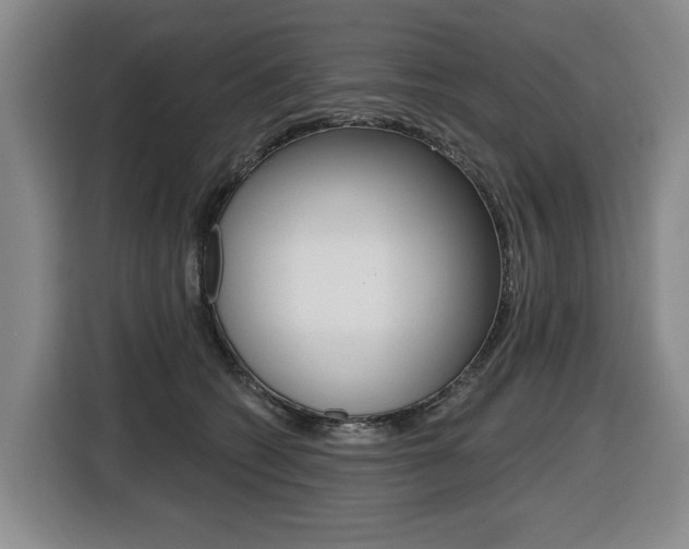 X0000116510562200912090949