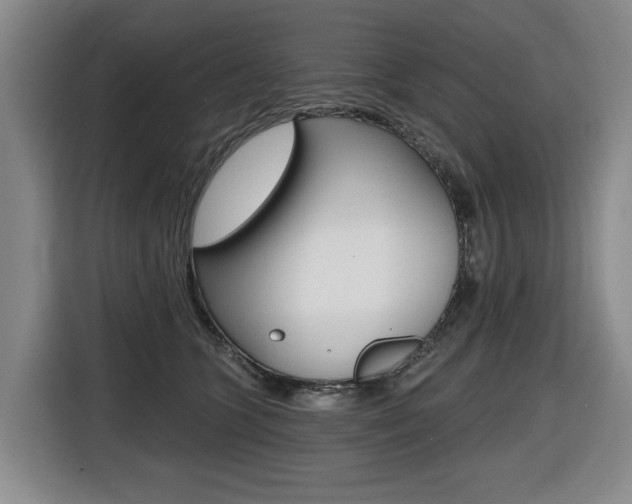 X0000116510563200912090949