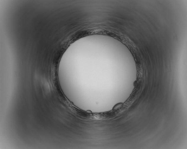 X0000116510565200912090949