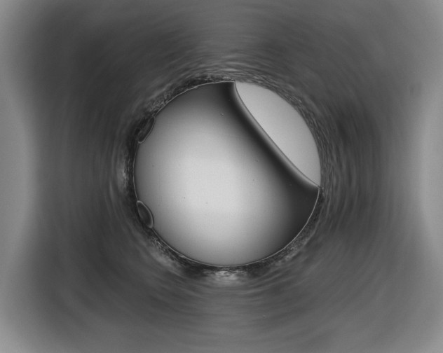 X0000116510566200912090949