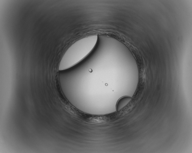 X0000116510567200912090949