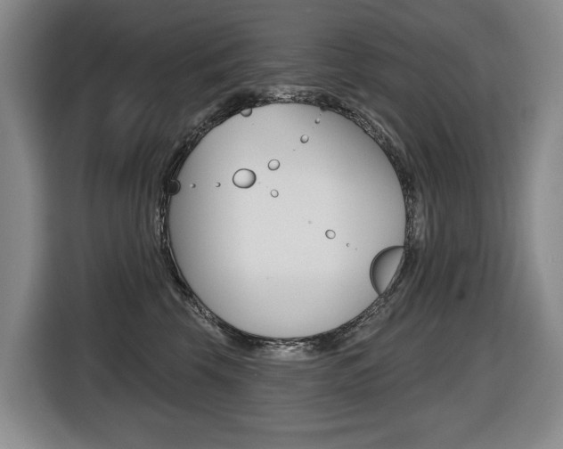 X0000116510569200912090949