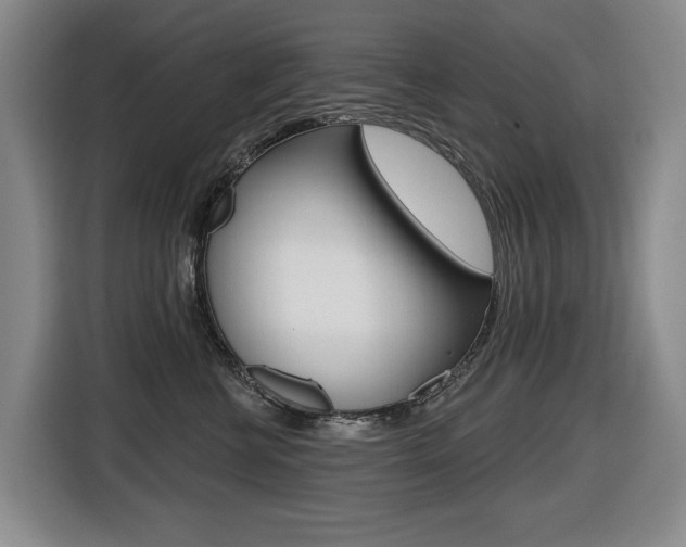 X0000116510570200912090949