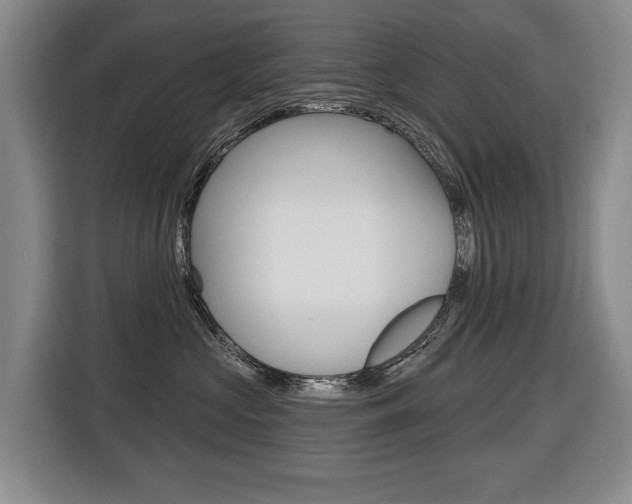 X0000116510573200912090949